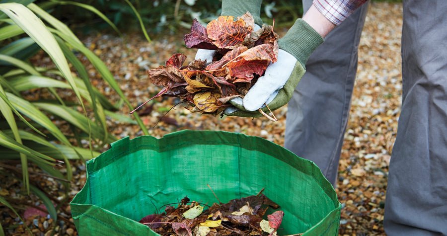 How to make your leaves work in your garden