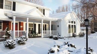 4 Essential Winter Tips for Encore Azaleas