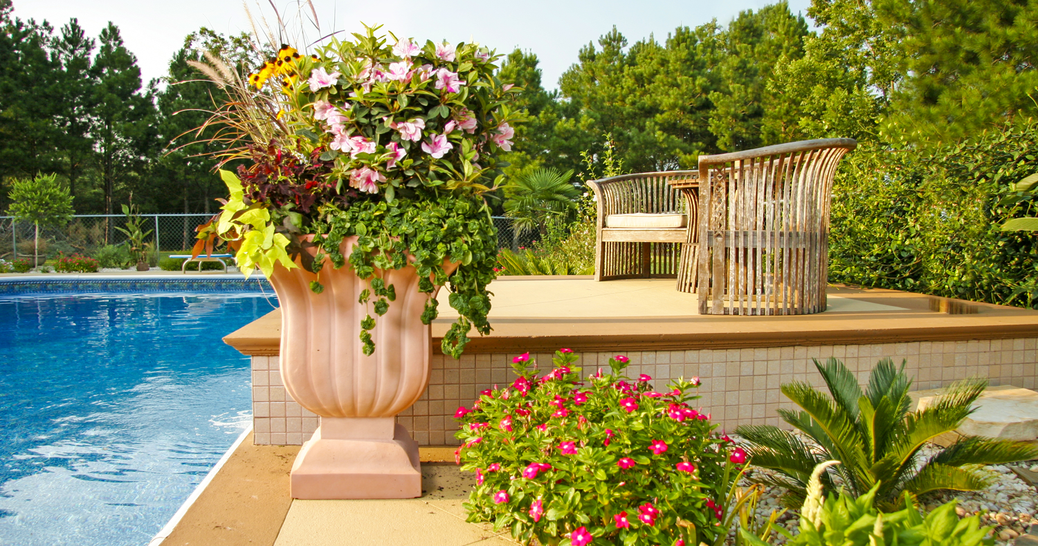 Recipe for a Gorgeous Encore Azalea Container Garden