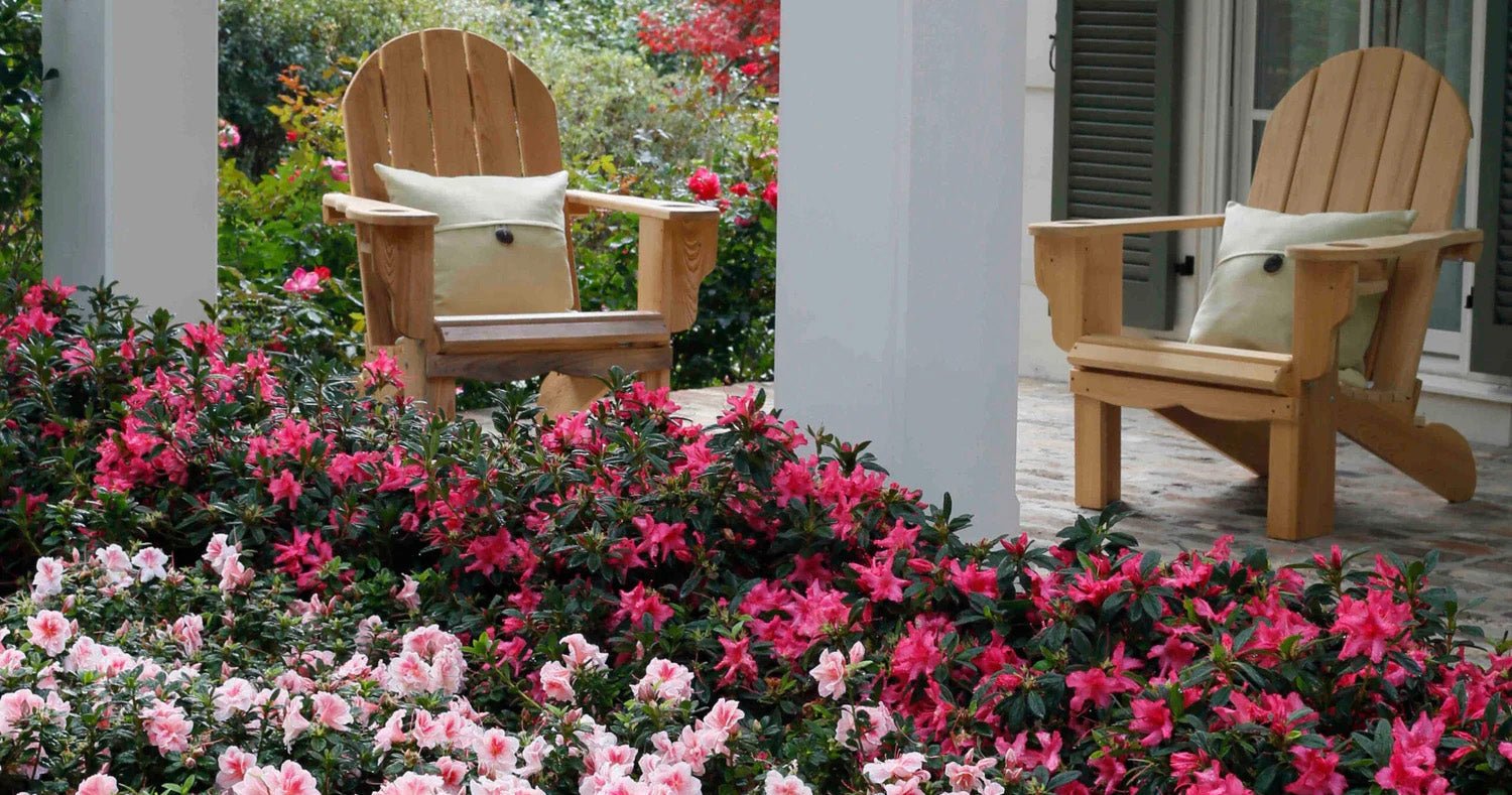 Get More Curb Appeal with Encore Azaleas