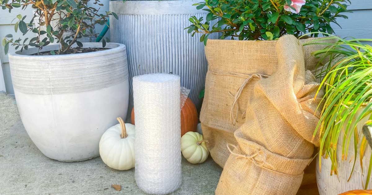 Potted plants on a porch surrounded by pumpkins wrapped in burlap