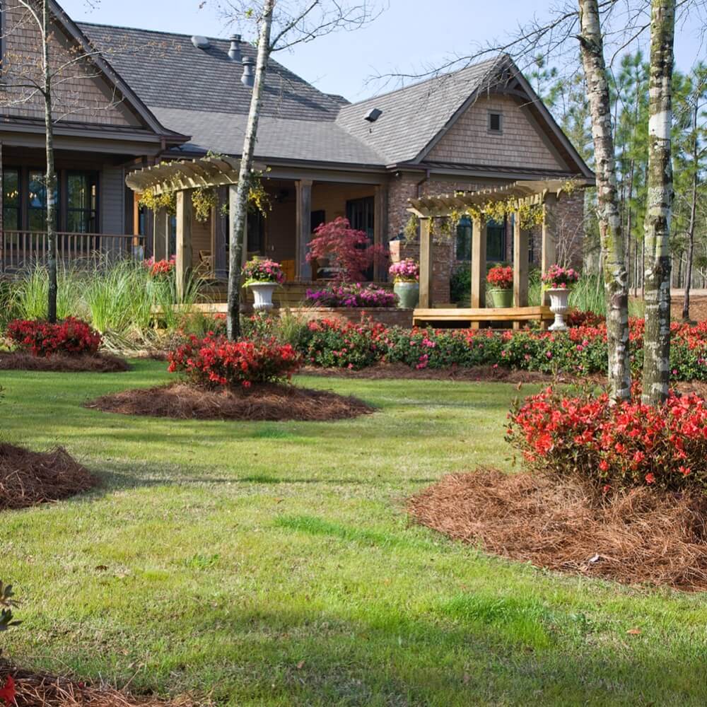Lush garden with flowers and a wooden gazebo in front of a house featuring red flowering encore azalea autumn embers shrubs