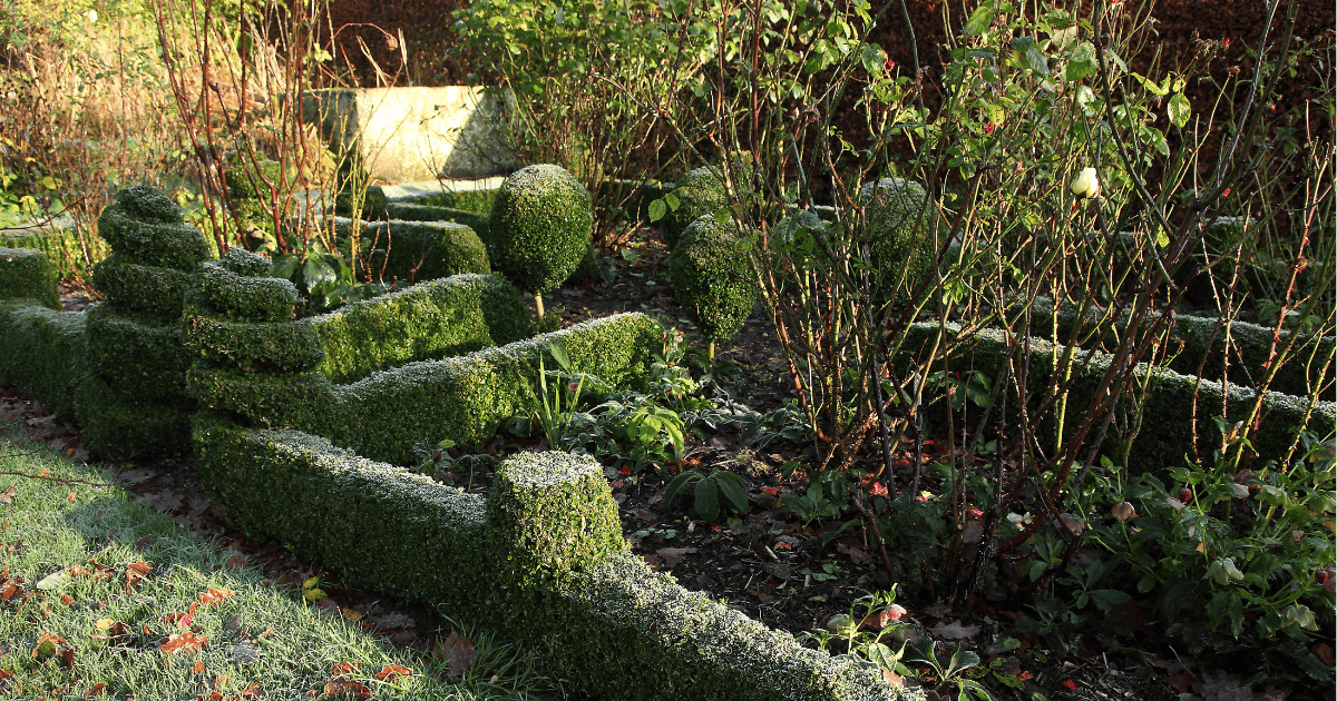 A topiary garden with bushes and shrubs.
