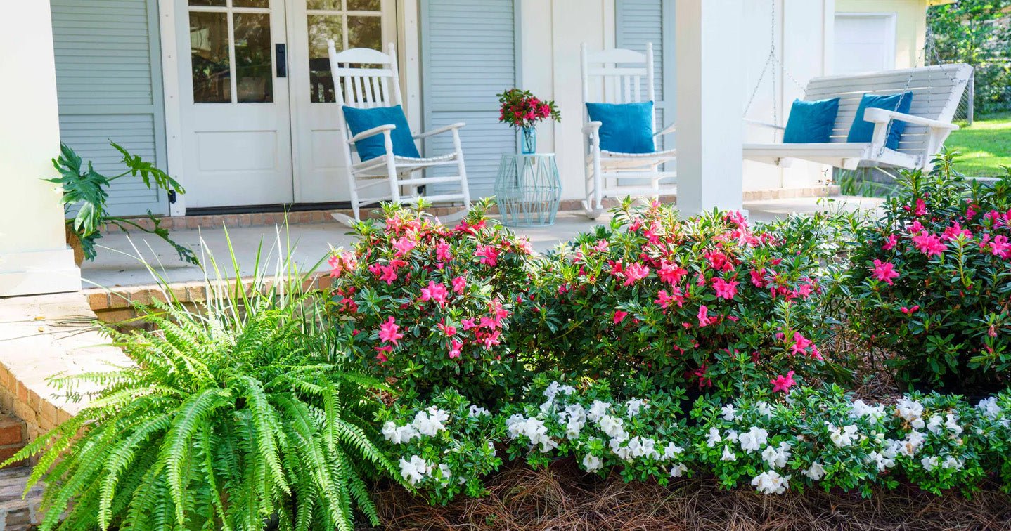 Playing to the Crowd: A Front Yard Your Neighbors Will Love