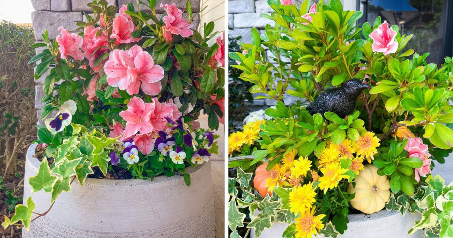 Porch Perfection: How 3 Homeowners Transformed Their Planters
