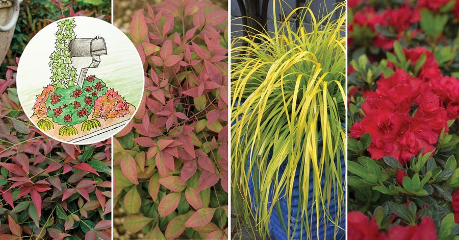 Plant Your Own DIY Mailbox Garden