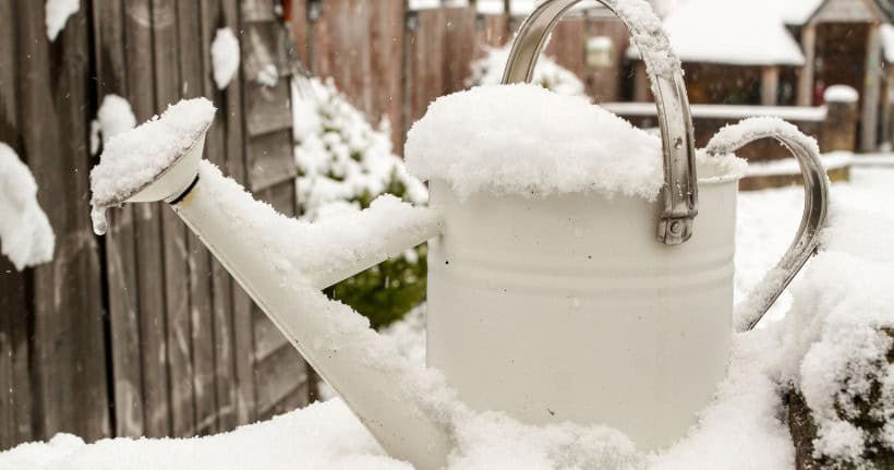 Guide to Winter Watering