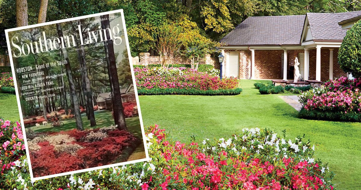 Recreating Southern Living's 50th Anniversary Azalea Garden