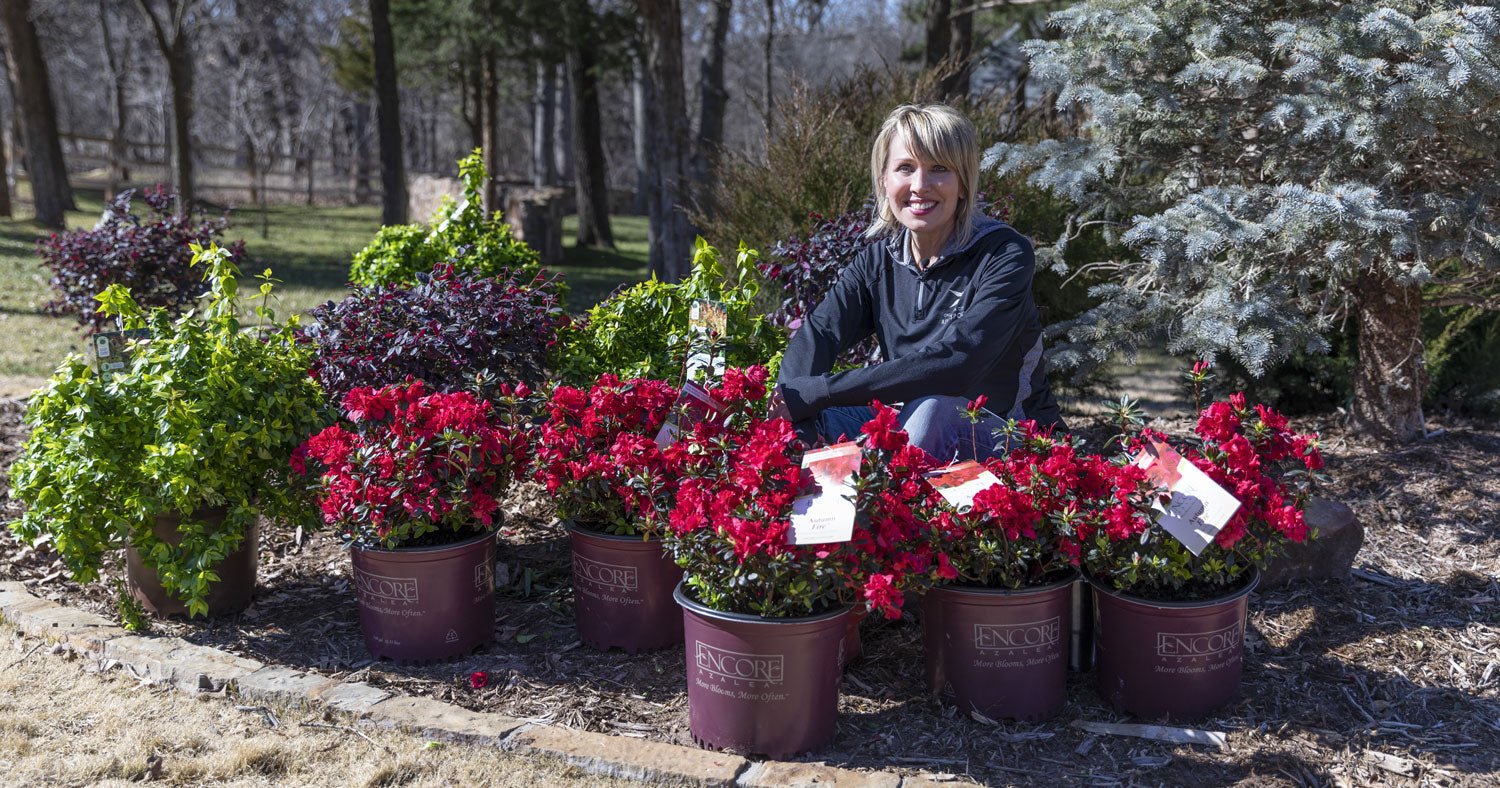 Linda Vater with a group of Encore Azalea Autumn Fire 