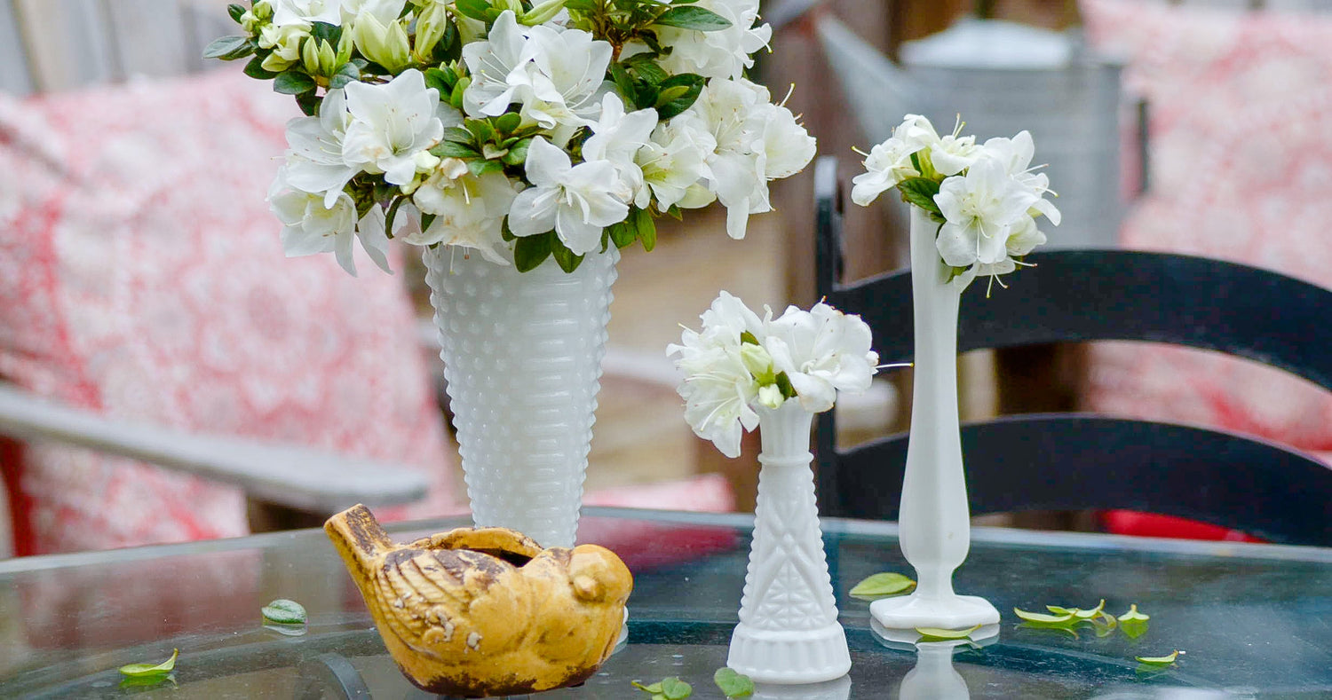 Use Encore Azaleas to Create Mini-Trio Centerpieces