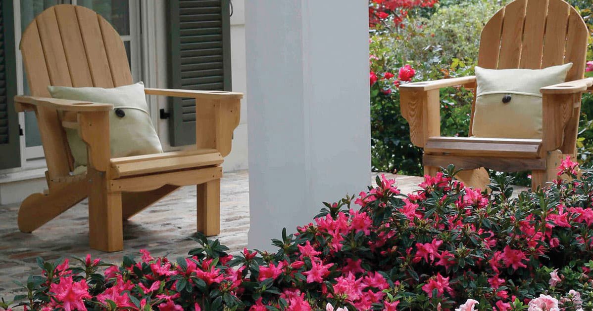 Passionate for Pink Encore Azaleas