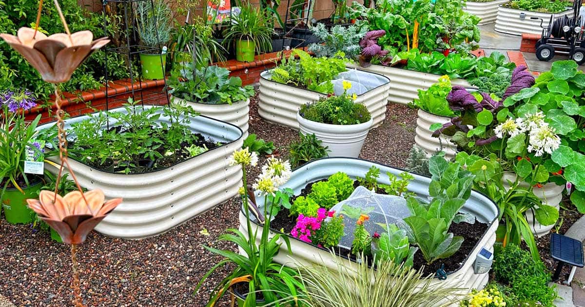 A vibrant garden center with various plants in raised corrugated metal beds, accompanied by decorative flowers and greenery.