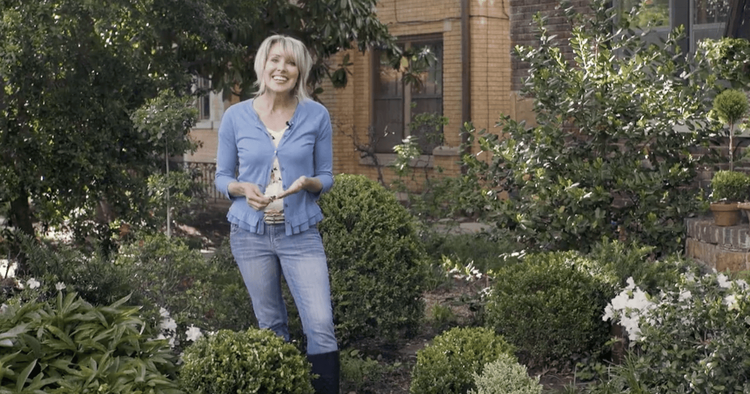 Video: Year-Round Green and White Garden with Encore Azaleas