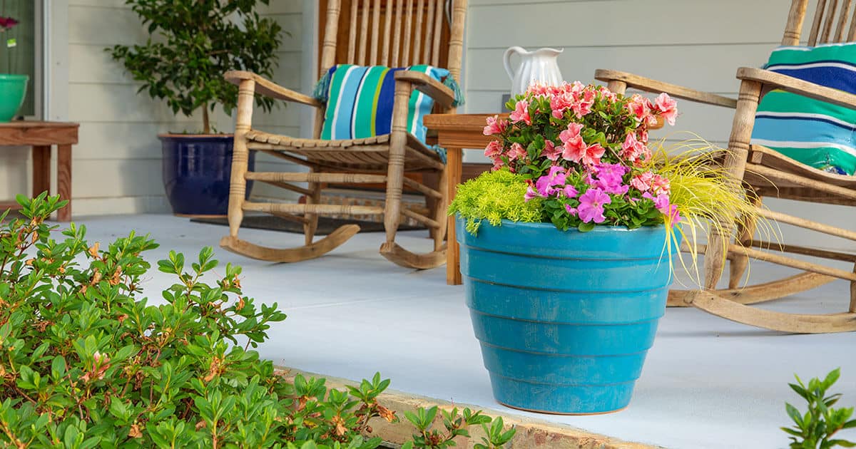 Seven Steps to a Successful Container Garden