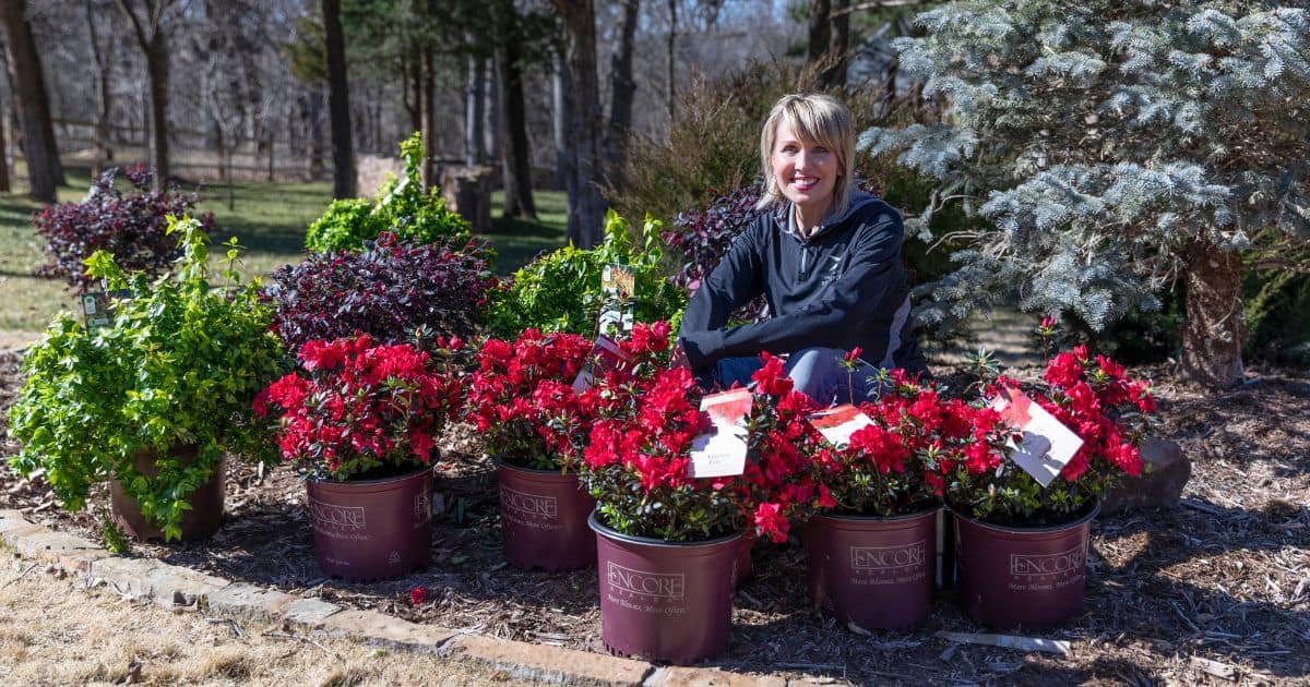 Linda Vater behind potted red Encore Azaleas