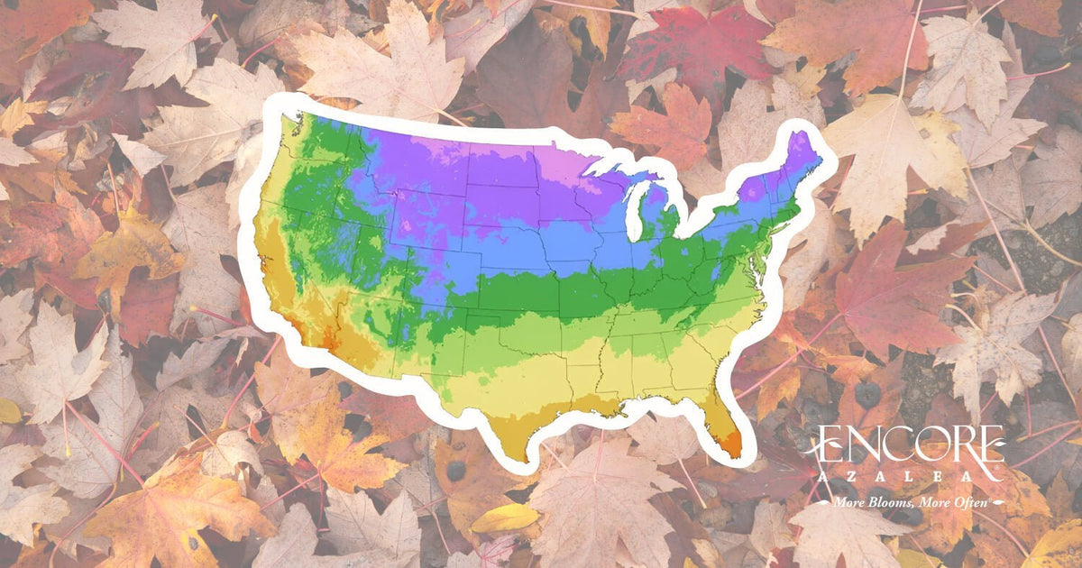 USDA map for Encore Azalea fall planting.