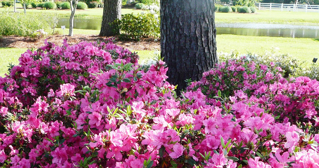 Sizing Up the Situation