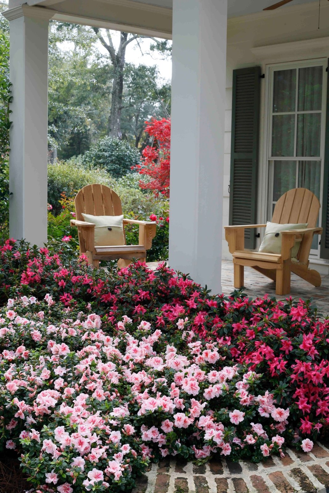 Front Porch Lifestlye image inspiration for landscape with Encore Azalea Autumn Belle and Encore Azalea Autumn Sundance with colorful flowers
