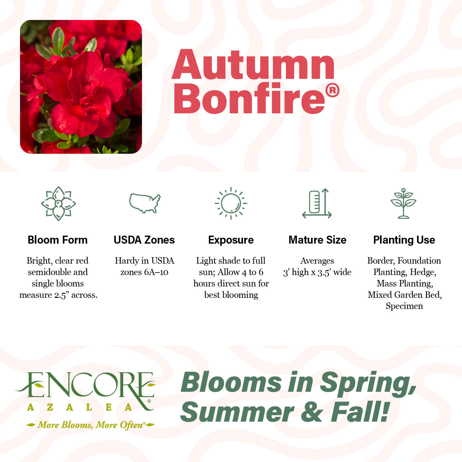 Autumn Bonfire®