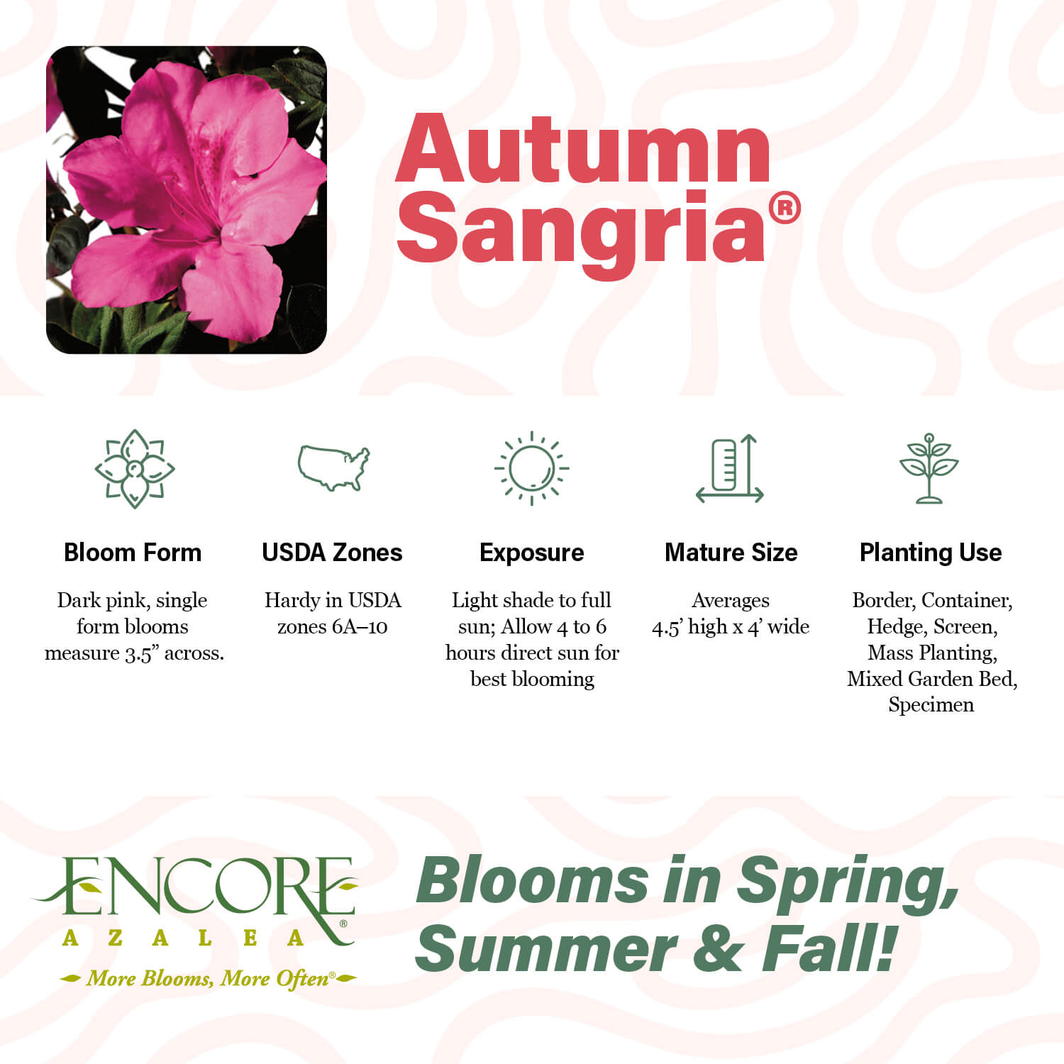 Autumn Sangria®