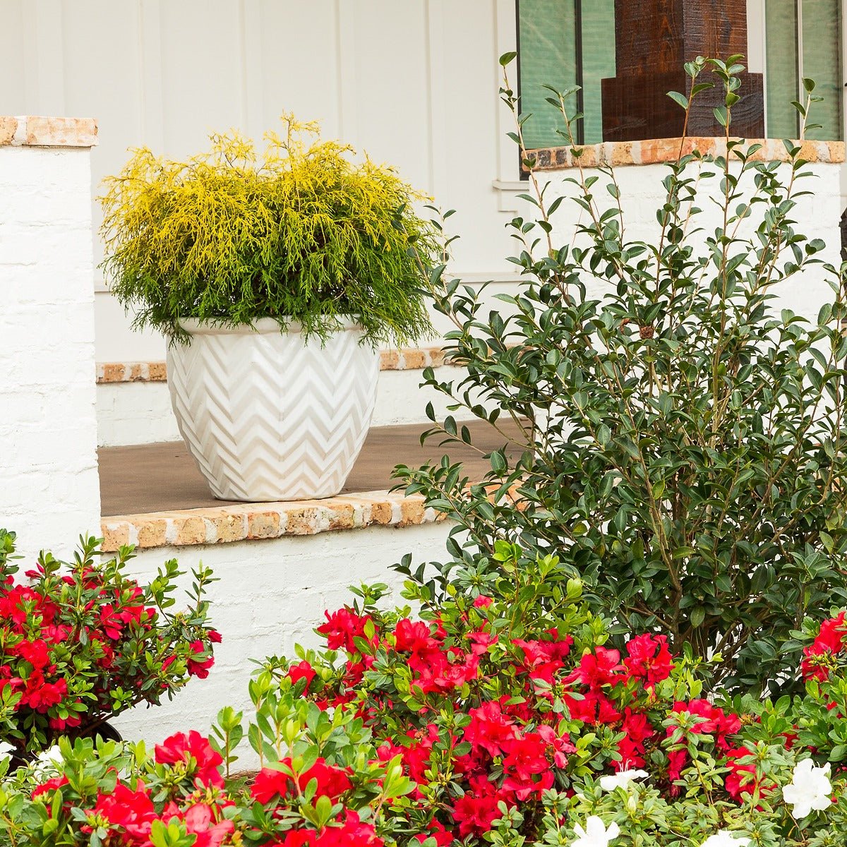 Autumn Bonfire® | Encore Azalea