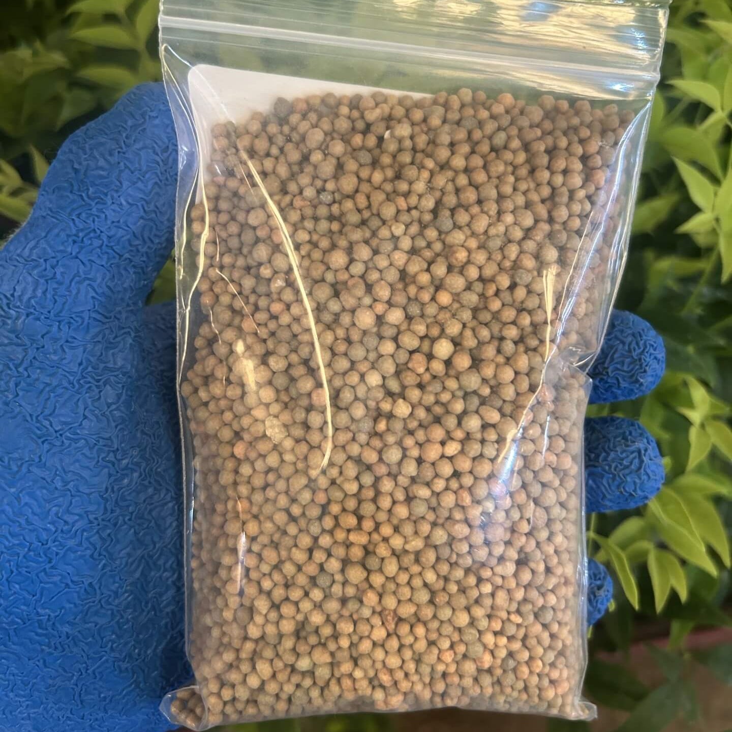 Slow-release fertilizer for container gardens, landscape shrub and trees -  15-9-12 granular