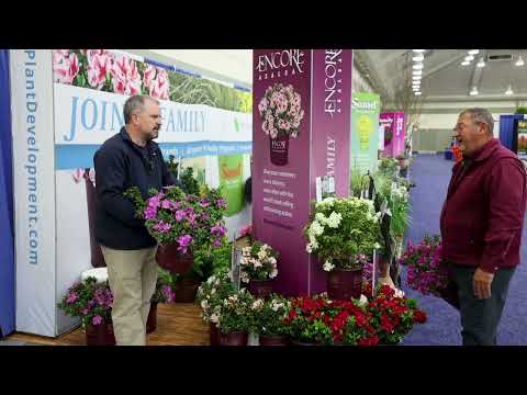 Video with Jim Putnam from Horttube and Buddy Lee, inventor of Encore Azaleas, talking about new Autumn Moonstruck.