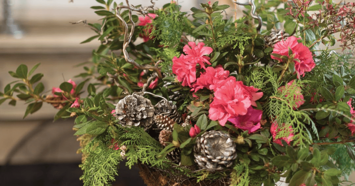 A basket filled with pink flowers and pine cones.