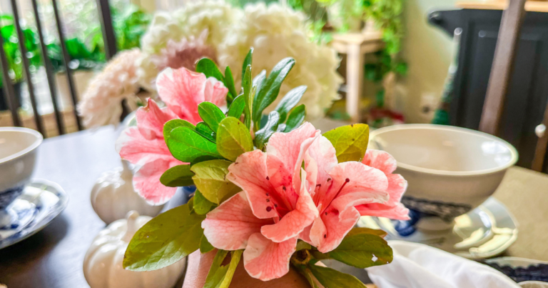 Bicolor blooms in a tabletop arrangement