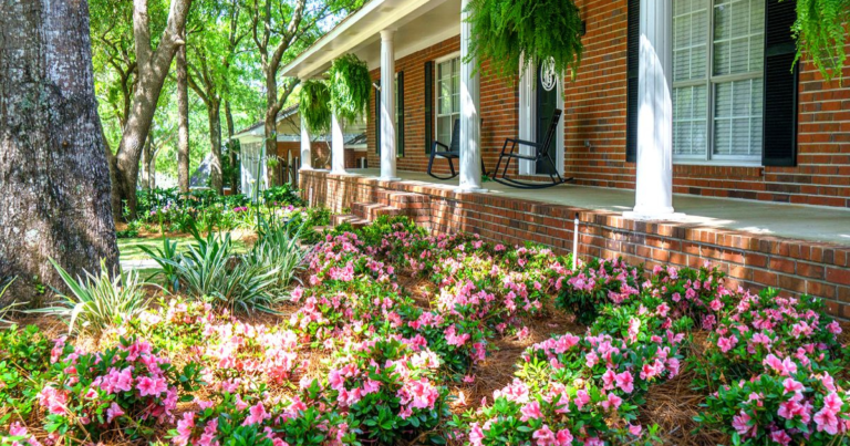 A brick house with pink flowers in the front yard.