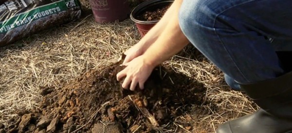 planting with acidic soil