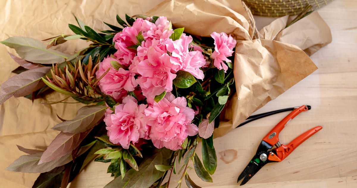 Pink Encore Azalea blooms with evergreen branches for DIY foraged bouquet