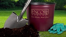 Encore Azalea planting branded container