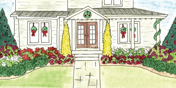 Inspiration and tips for holiday and early-winter gardening with evergreens and late-fall blooming Encore® Azaleas