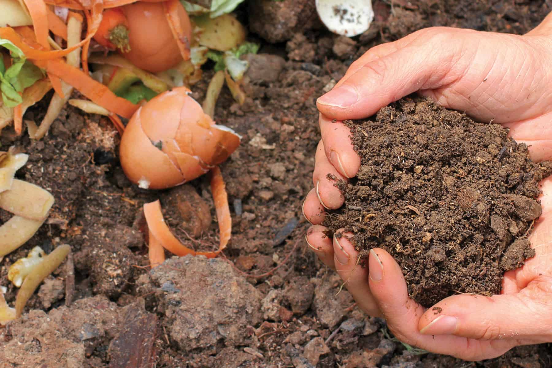 Hands holding soil, composting with kitchen scraps