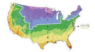 USDA grow zone map