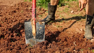 digging with shovel in clay soil