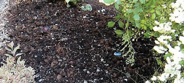 soil for planting with gravel