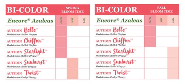 View all of our azalea bloom time charts
