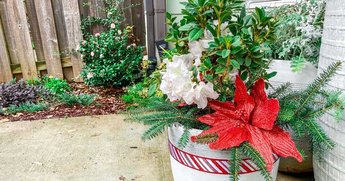 A festive outdoor planter with a red-glittered poinsettia and pine branches, positioned on a concrete surface beside a lush garden and a wooden fence.