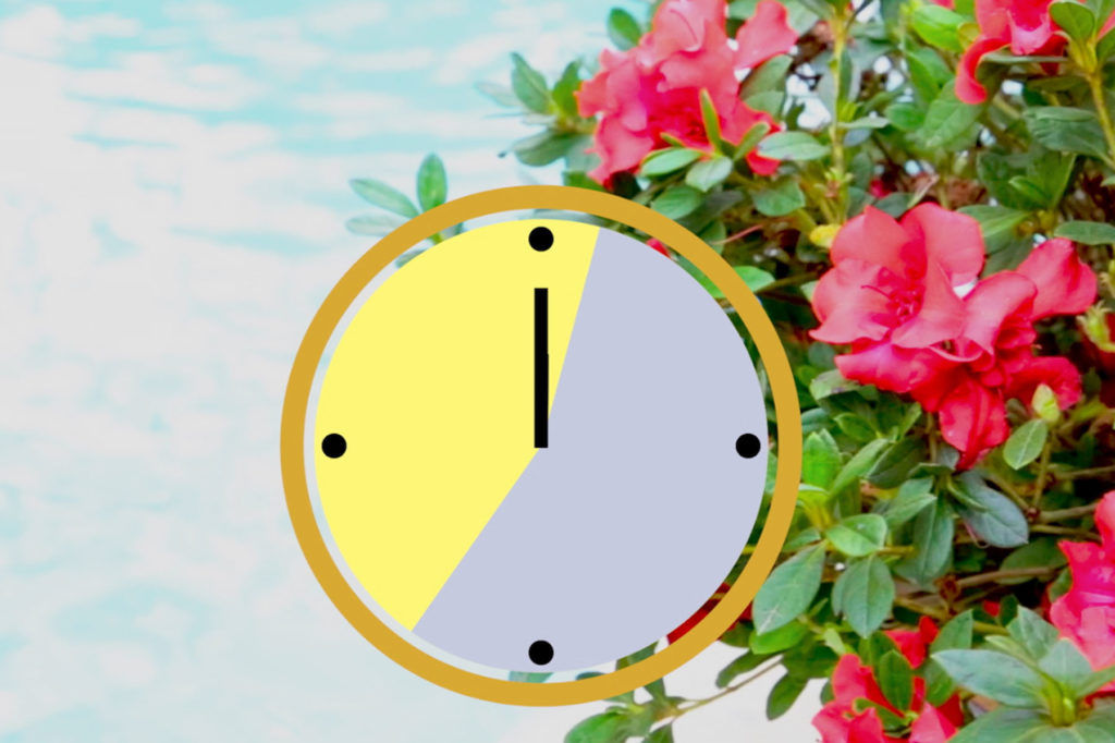 Clock Showing Sun Exposure Hours with Encore Azaleas