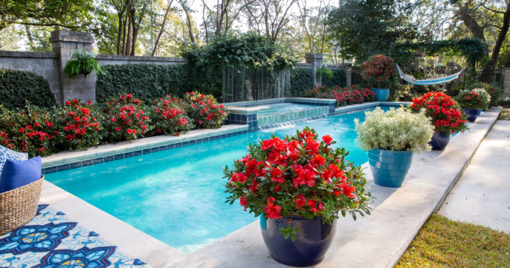 Design and Projects | Encore Azalea