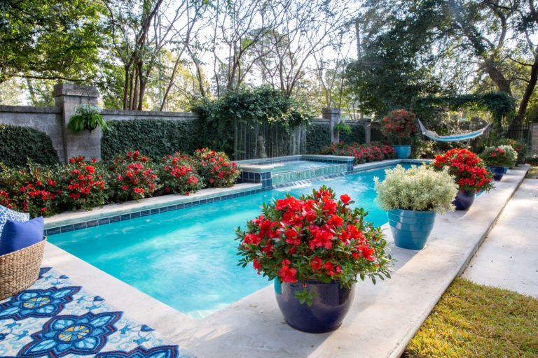 A backyard with a pool and potted plants.