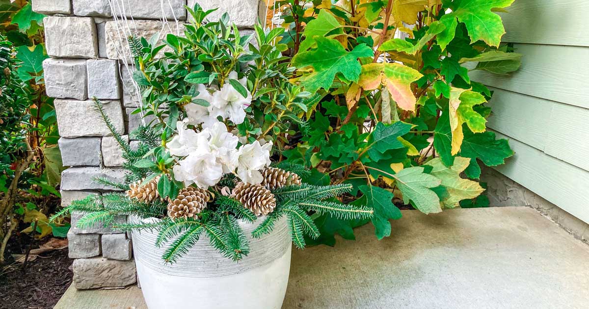A white planter containing white flowers, greenery, and pine cones, positioned next to vividly colored leaves on a stone wall beside a house.
